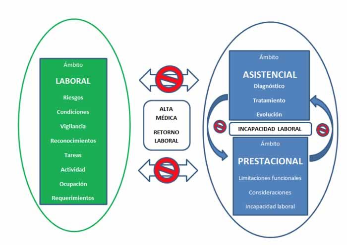 Ámbito competencial asistencial, prestacional y laboral e información médica