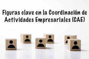 Figuras clave en la Coordinación de Actividades Empresariales (CAE)