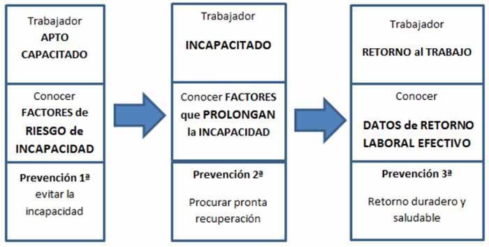 Las políticas de retorno al trabajo tras incapacidad laboral prolongada, en materia de seguridad social
