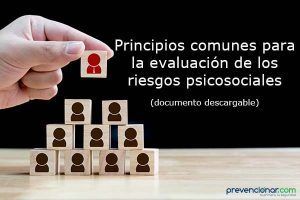 Principios comunes para la evaluación de los riesgos psicosociales