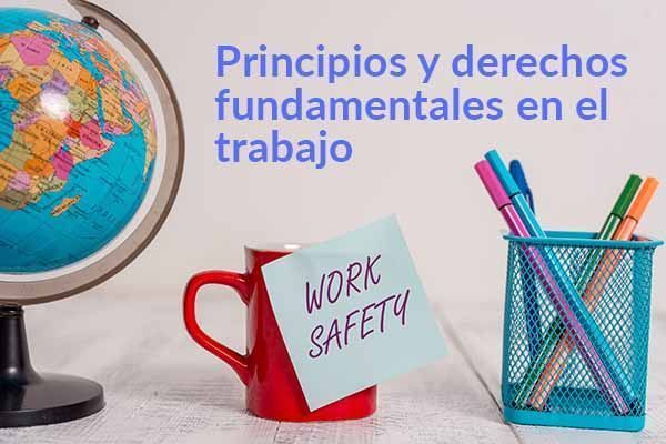 Principios y derechos fundamentales en el trabajo