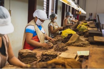 Desde comercios hasta fábricas, permanecer en bipedestación es parte esencial de la rutina diaria de muchos puestos de trabajo. Sin embargo, aunque permanecer de pie pueda parecer una tarea sencilla, realizada de manera ininterrumpida durante largos periodos, puede implicar riesgos para la salud. El motivo es que, si bien el óptimo funcionamiento de la fisiología humana requiere una importante dosis de movimientos corporales variados, también es necesario intercalar periodos de pausa que permitan la recuperación de las estructuras implicadas. En prevención de riesgos laborales, se distingue entre dos tipos de bipedestación: - Bipedestación dinámica: son puestos de trabajo en que son posibles los desplazamientos o bien se tiene la posibilidad de alternar con sedestación. - Bipedestación estática: son puestos de trabajo en los se debe permanecer de pie y quieto o con desplazamientos muy cortos. La bipedestación dinámica es ventajosa frente a la estática, especialmente cuando es posible la deambulación, ya se permite la activación de la musculatura y facilita el retorno venoso de las extremidades inferiores. En cualquier caso, los principales riesgos asociados a trabajos en bipedestación prolongada, ya sea dinámica o estática, son: 