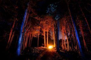 incendios_forestales