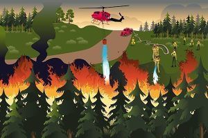 incendios_forestales