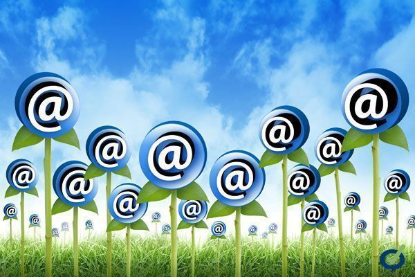 newsletter
