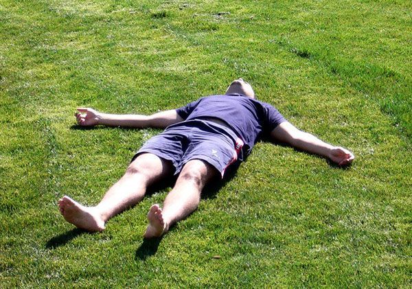 siesta
