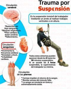 sindrome del arnés