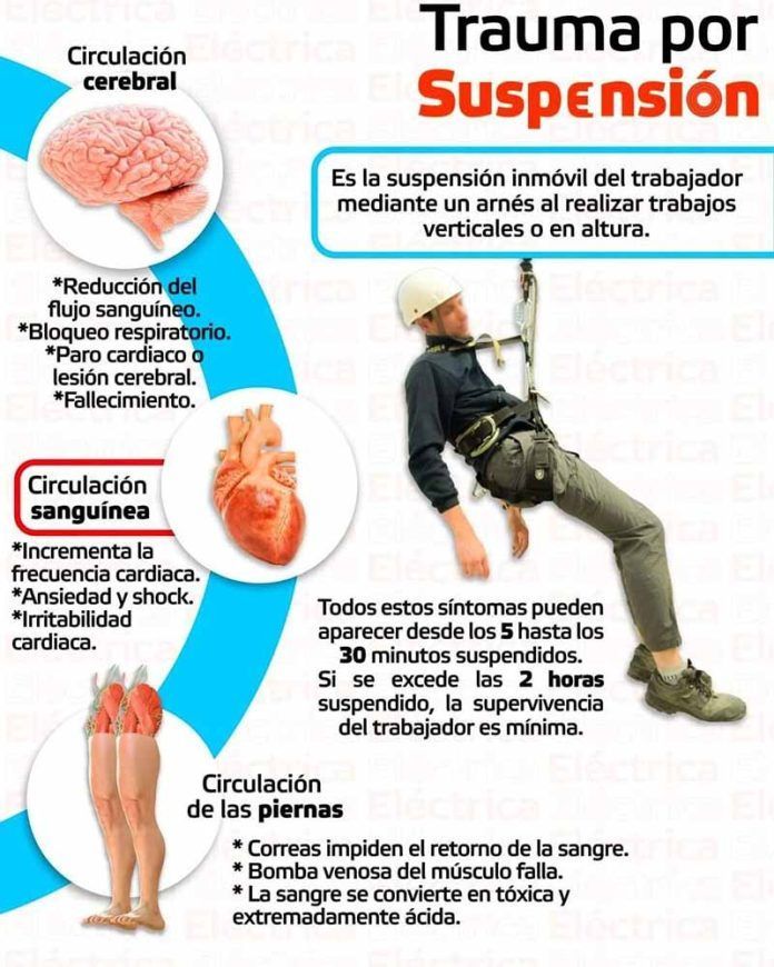 sindrome del arnés