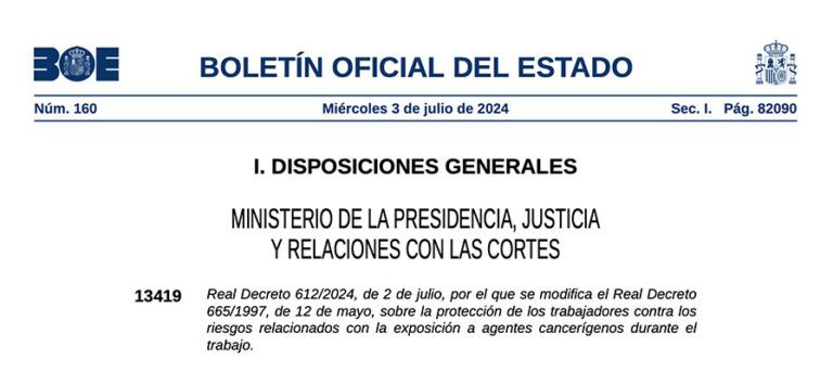 Real Decreto 612/2024, sobre la protección de los trabajadores contra ...