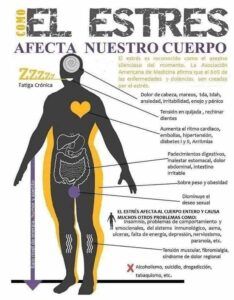 como afecta el estrés a nuestro cuerpo