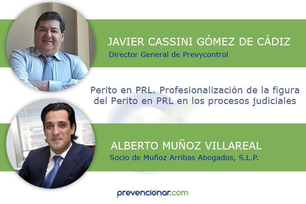 Perito en PRL. Profesionalización de la figura del Perito en PRL en los procesos judiciales