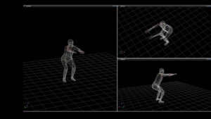 4DMOVEMENT_IBV