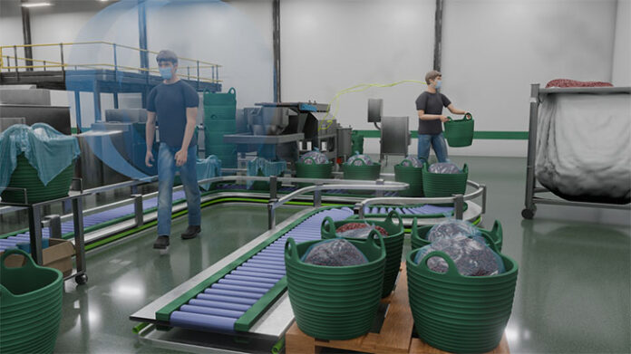 IBV revoluciona la ergonomía laboral con tecnología de simulación virtual y modelos digitales humanos