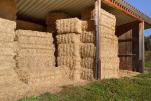 PACAS ALMACENAMIENTO