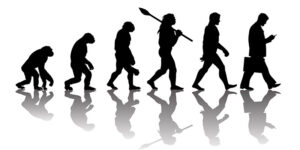 genesis y evolución