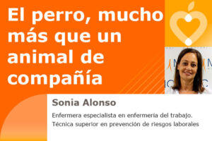 El perro, mucho más que un animal de compañía