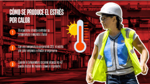 estres_por_calor_baroig