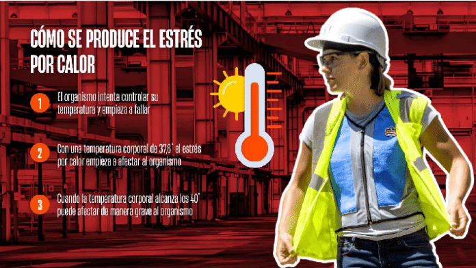 estres_por_calor_baroig