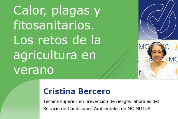 Cristina Bercero