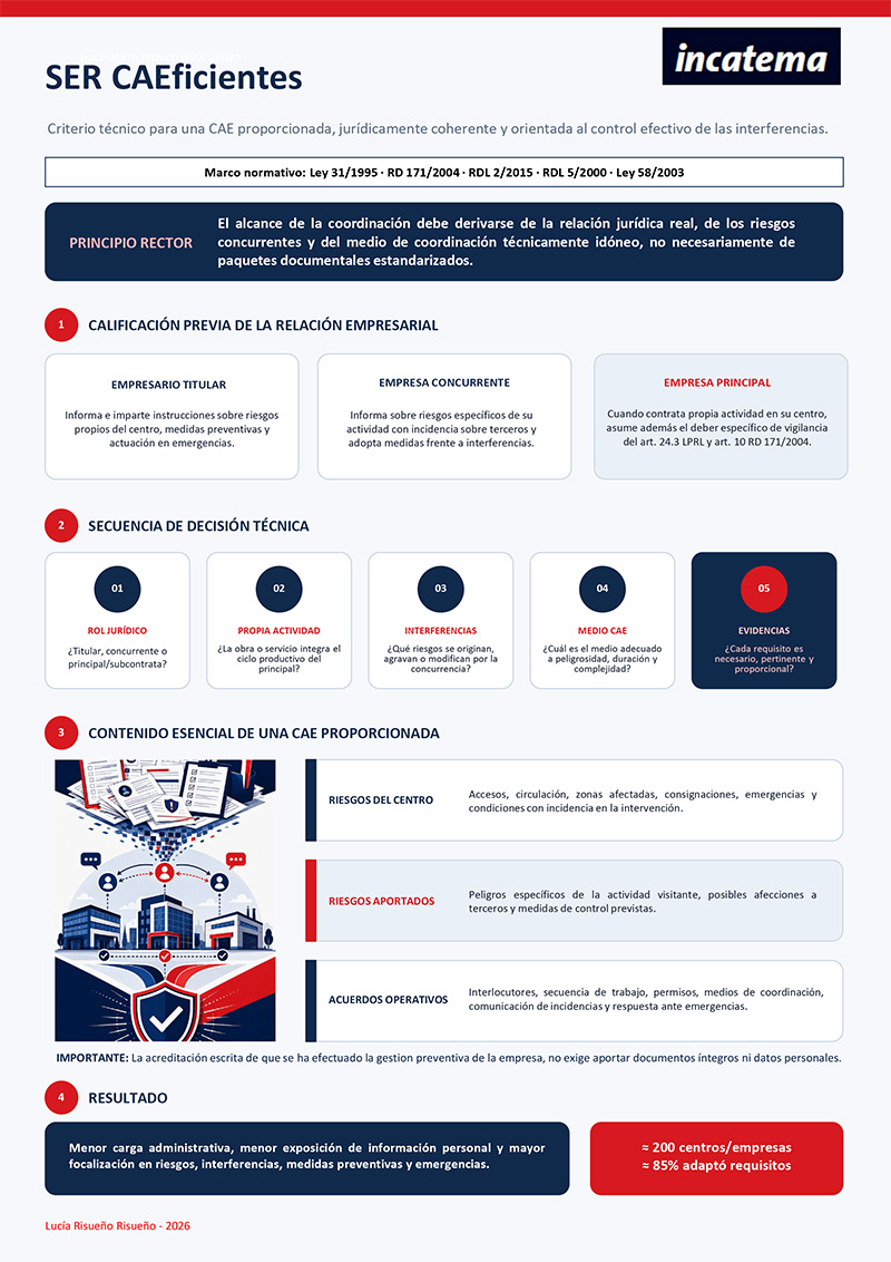 Infografia-CAE-Lucia-Risueno.